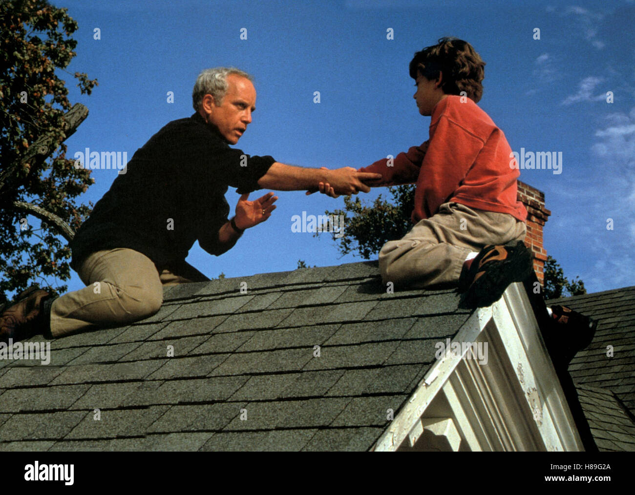 Stummer Schrei, (SILENT FALL) USA 1994, Regie: Bruce Beresford, RICHARD DREYFUSS, BEN FAULKNER, Stichwort: Rettung Stock Photo
