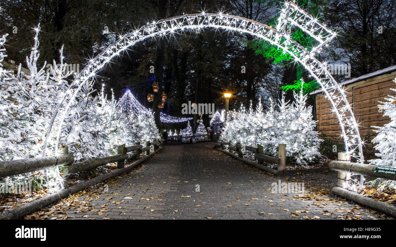 Christmas Decorations at Center Parcs Longleat Forest Stock Photo