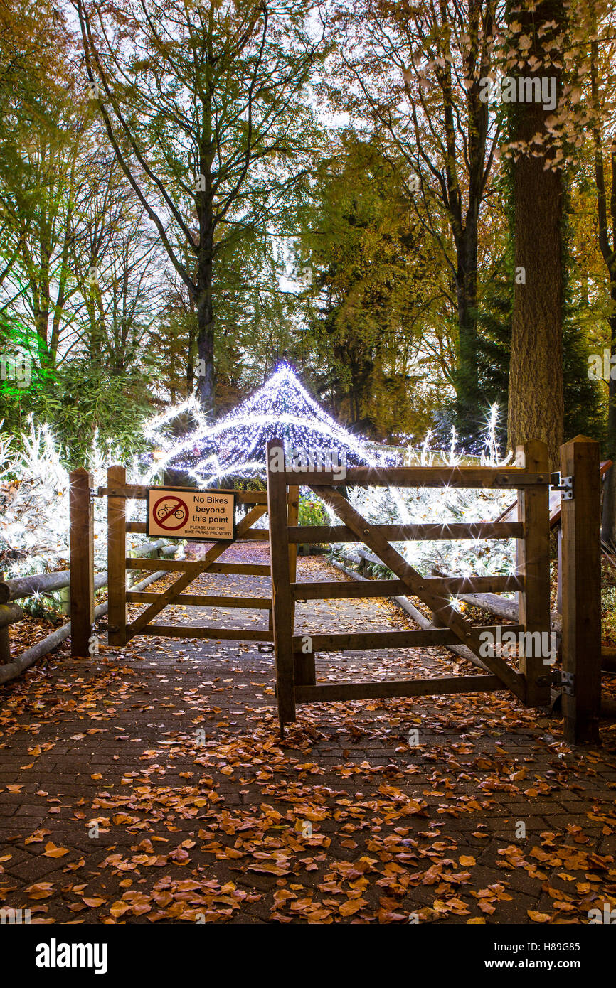 Christmas Decorations at Center Parcs Longleat Forest Stock Photo