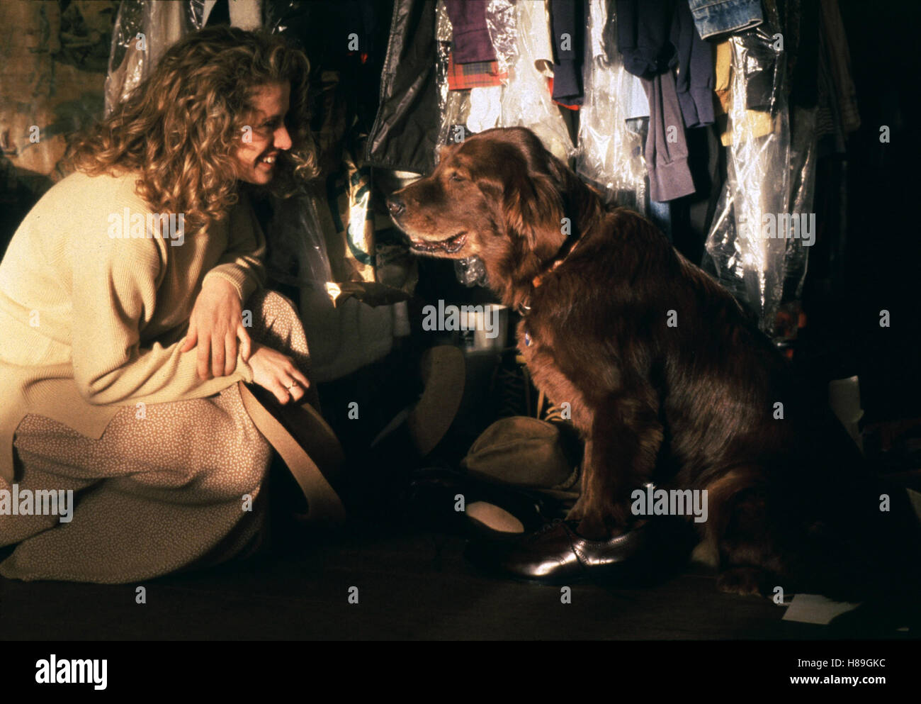 Fluke - Ein Hund ist auch nur ein Mensch, (FLUKE) USA 1995, Regie: Carlo Carlei, NANCY TRAVIS Stock Photo