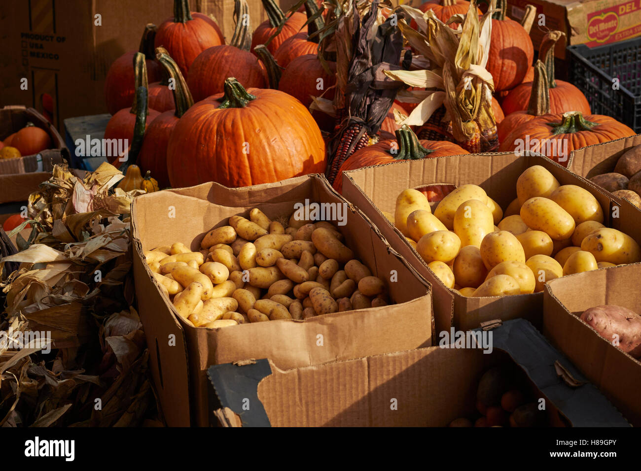 Autumn vendor display at the Italian Market in Philadelphia, Pennsylvania, USA Stock Photo