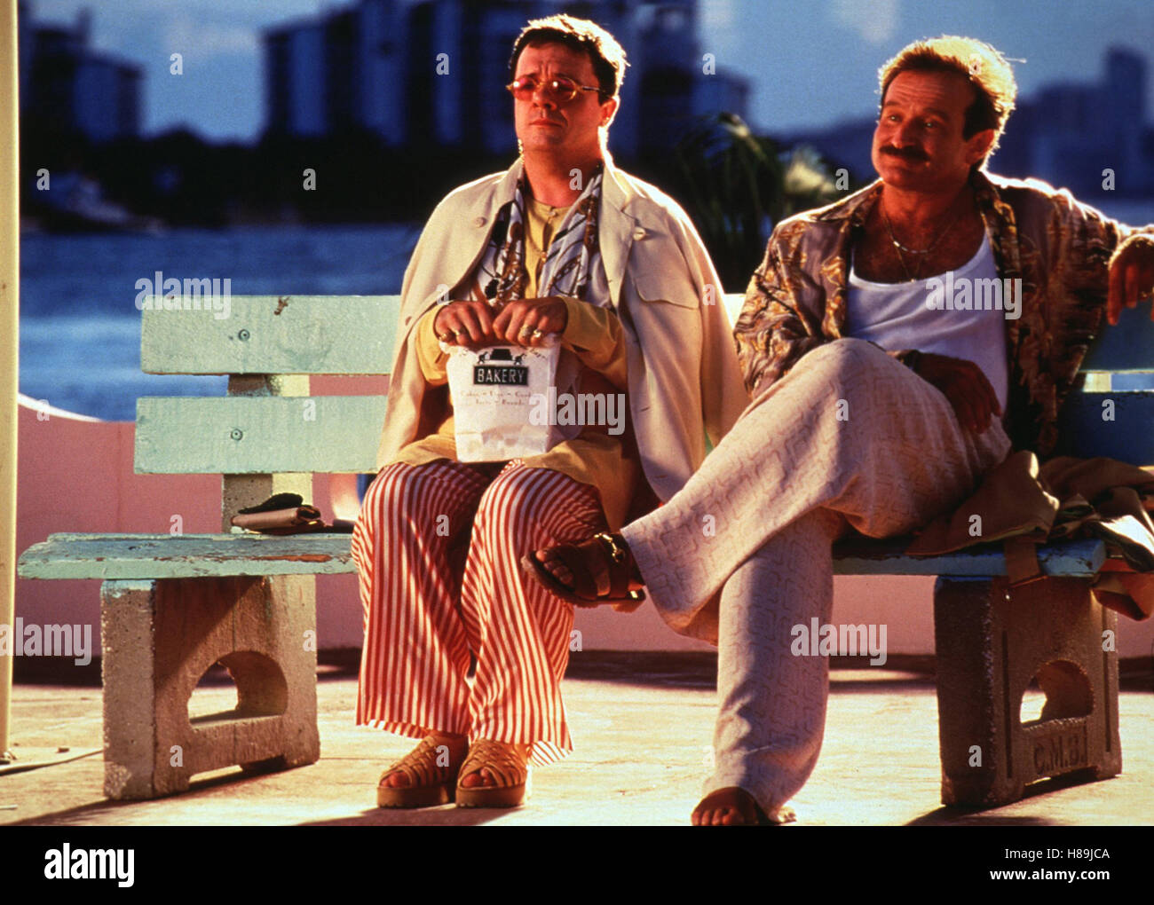 Birdcage Ein Paradies für schrille Vögel, (BIRDCAGE) USA 1996, Regie