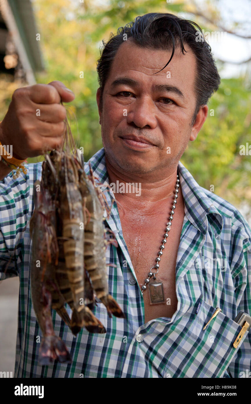A prawn farmer in Thailand holds up a bundle of whiteleg prawns reared at his farm. Stock Photo