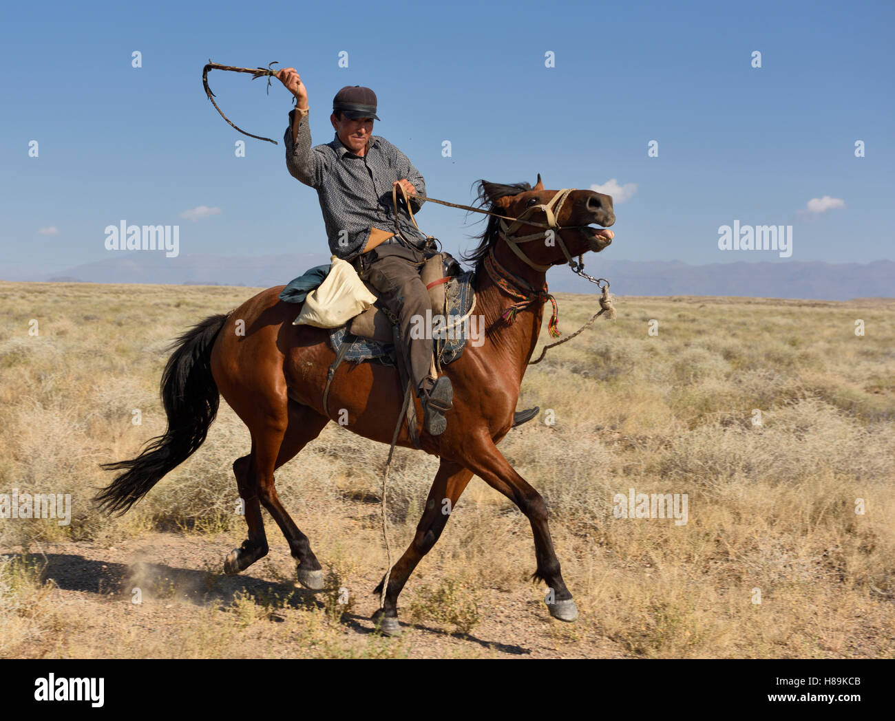 Kazakh cowboy whipping horse on the plains of Zhongar Alatau mountains Kazakhstan Stock Photo