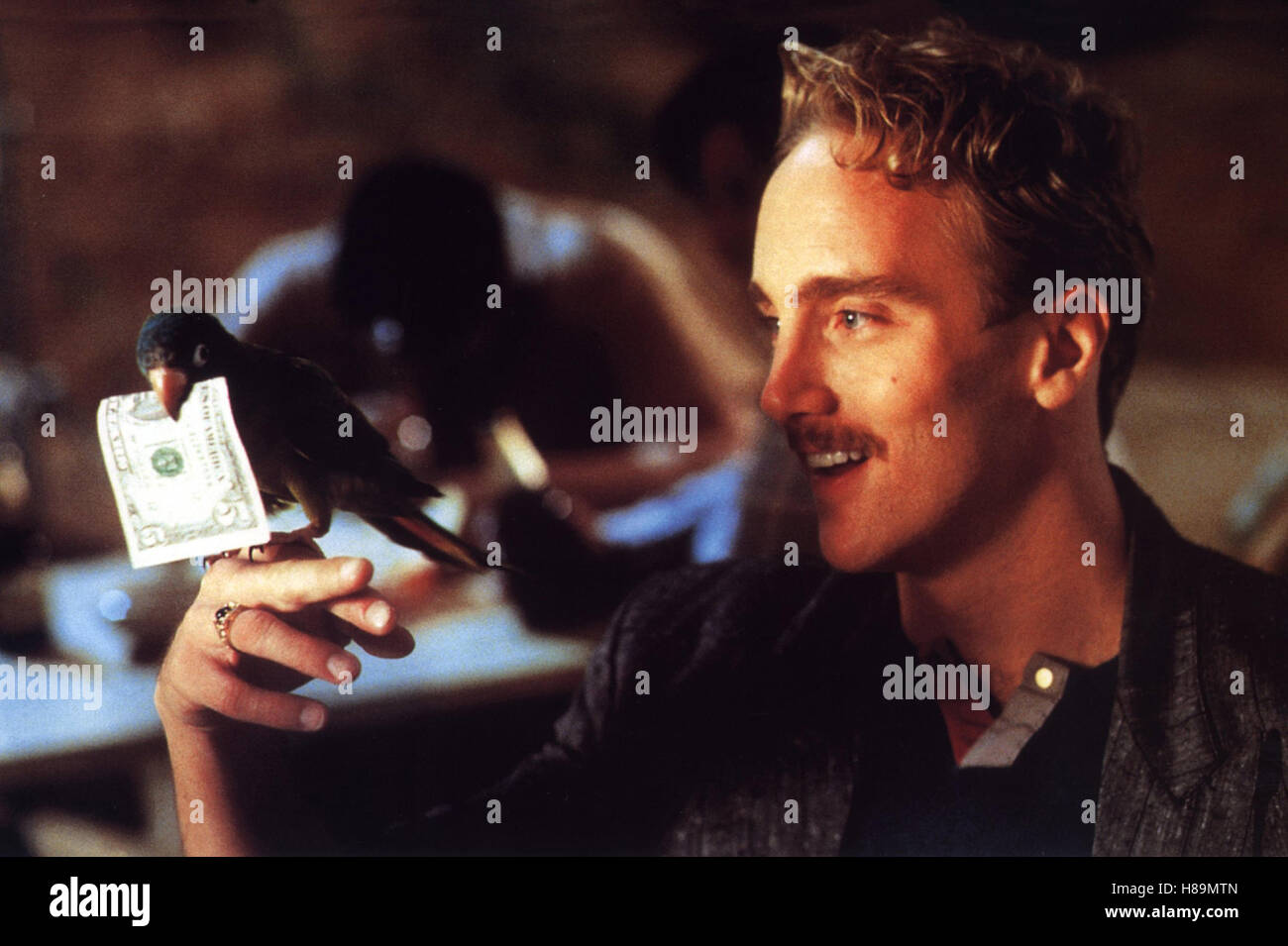 Paulie Ein Plappermaul macht seinen Weg, USA 1998, Regie John Roberts, JAY MOHR, Stichwort Paulie Ein Plappermaul macht seinen Weg, USA 1998, Regie John Roberts, JAY MOHR, Stichwort