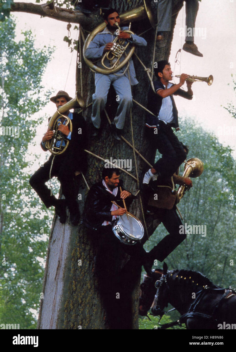 5 Bonnes Raisons De Regarder Chat Noir Chat Blanc Emir Kusturica