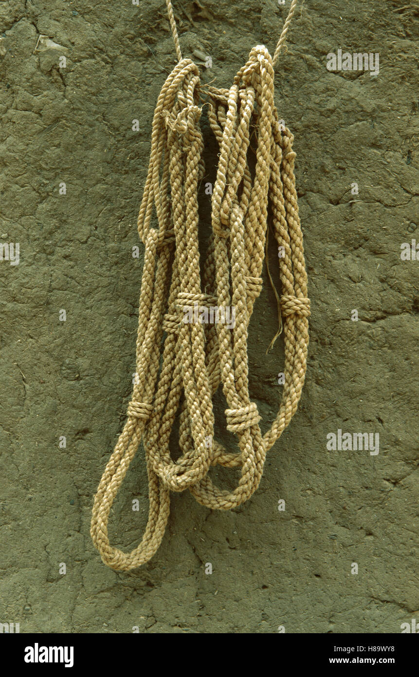 Baobab (Adansonia digitata) bark, made into rope, Sahel Desert, Mali ...