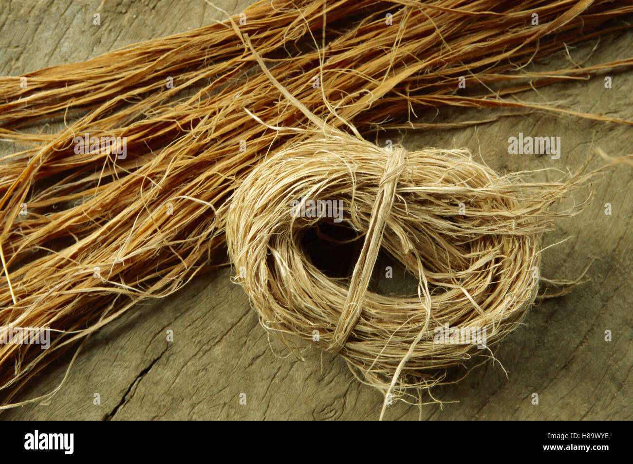 Baobab (Adansonia digitata) bark, used to make rope, Sahel Desert, Mali ...