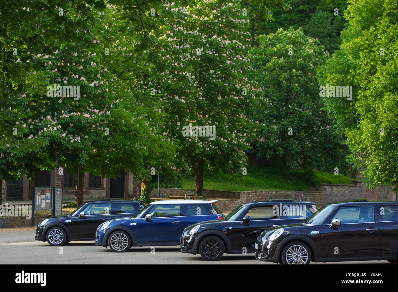 MAULBRONN, GERMANY- MAI 17, 2015: Four identical cars of blue color on ...