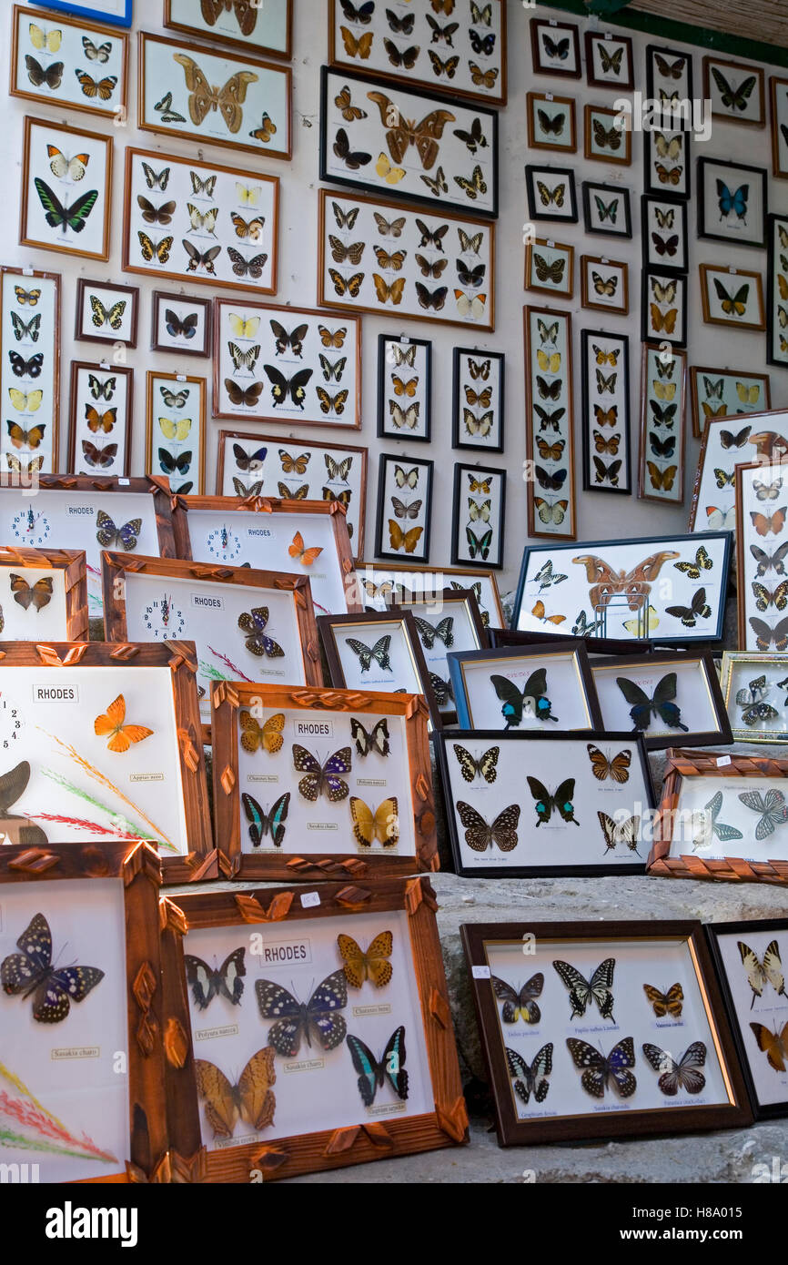 Collection of butterfly specimens, Valley of the Butterflies, Rhodes, Greece Stock Photo