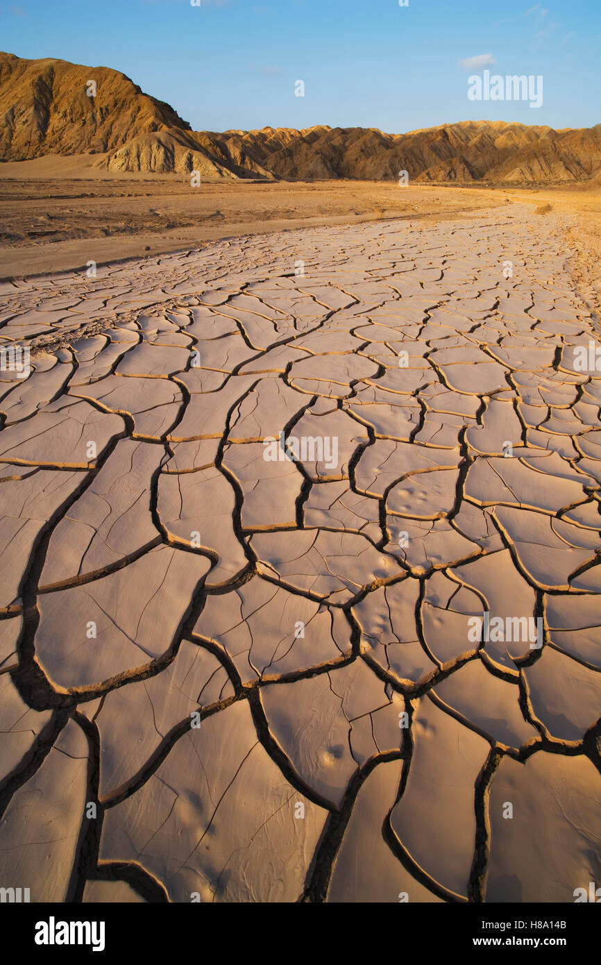 Drought patterns in dry creek bed in Atacama Desert, Chile Stock Photo ...