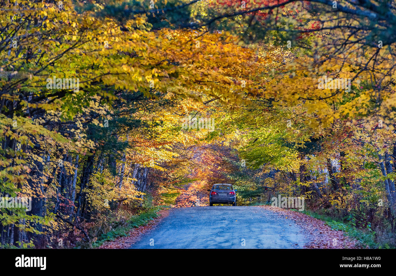 Autumn scenic,  Newbury, Vermont, USA. Stock Photo