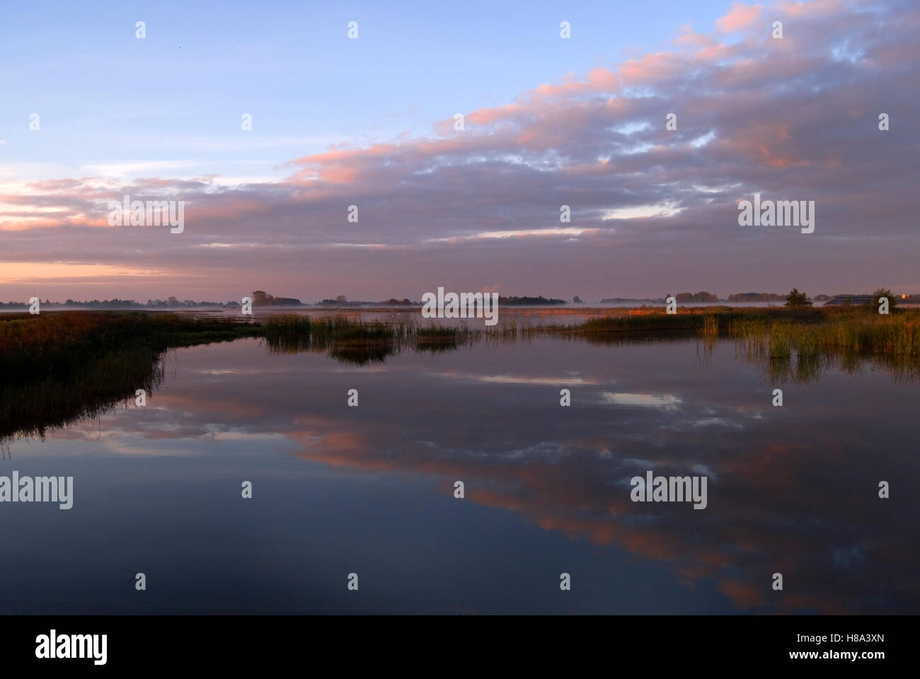 Clouds reflected in wetland, De Westereen, Friesland, Netherlands Stock