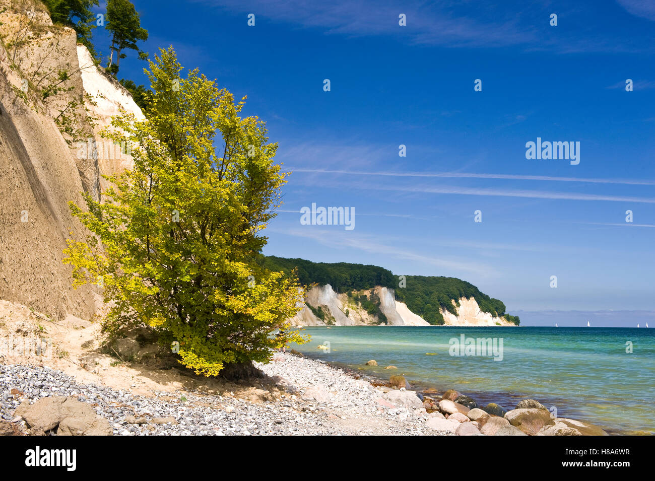 Chalk cliffs, Jasmund National Park, Mecklenburg Vorpommern, Germany ...