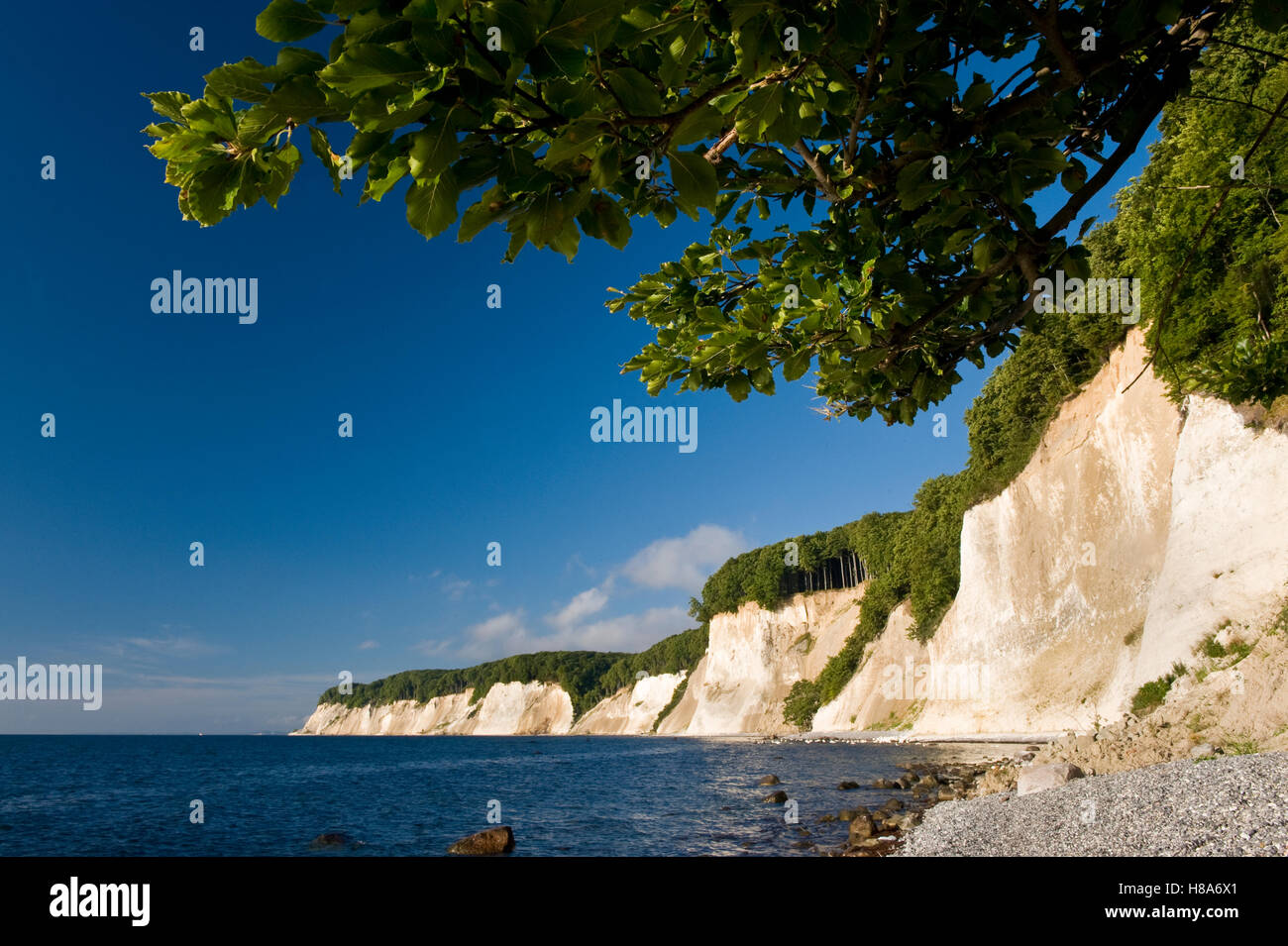 German Cliffs Chalk cliffs, Jasmund National Park, Mecklenburg Vorpommern, Germany ...