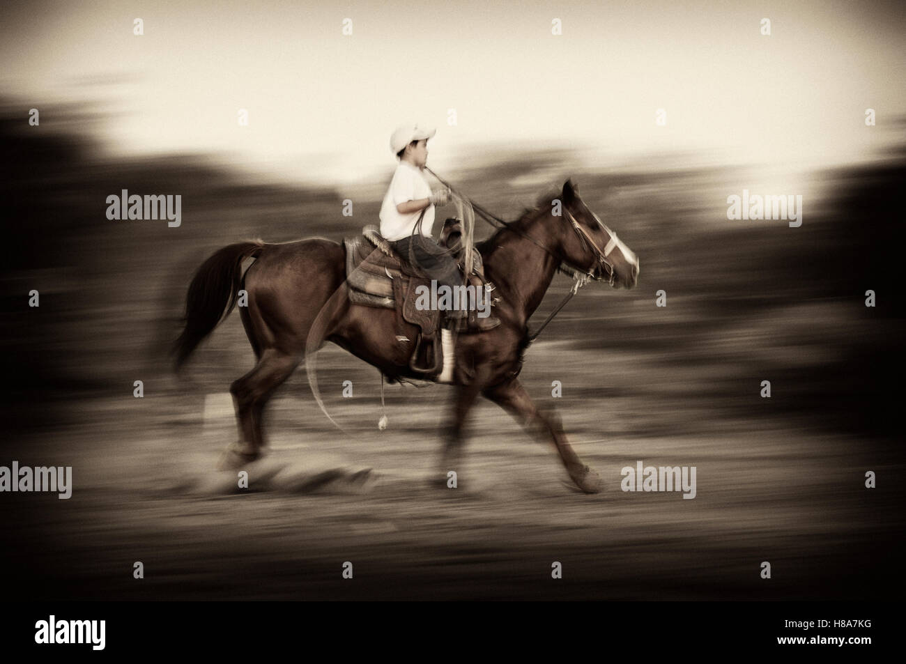 Young cowboy practicing roping, Hebbronville, Texas Stock Photo - Alamy