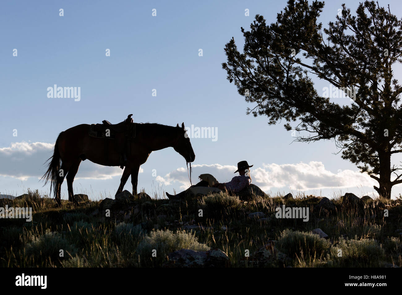 WY01116-00...WYOMING - Emily Melvin relaxing with her horse near Dubois. (MR# M17) Stock Photo