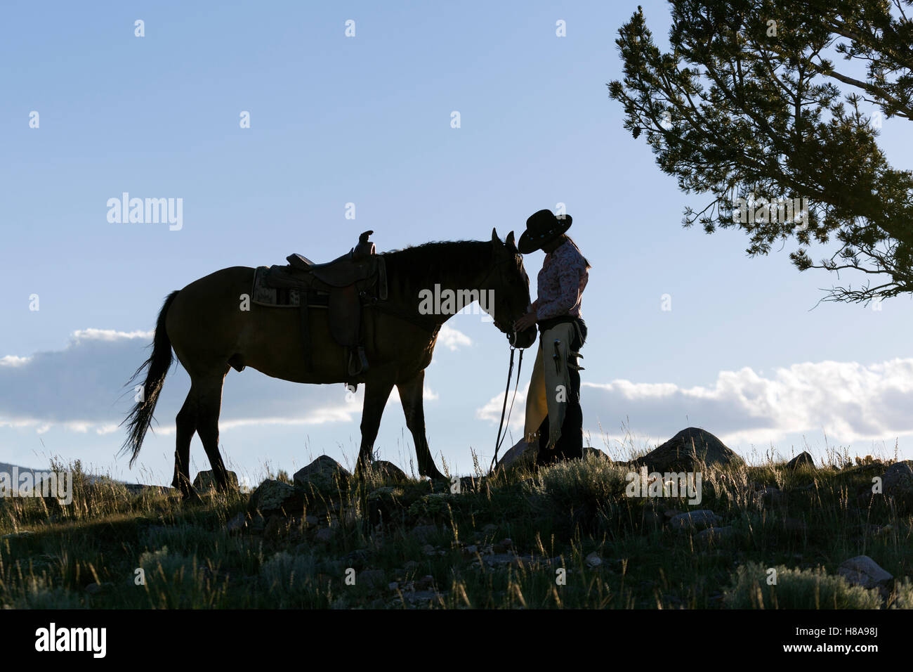 WY01117-00...WYOMING - Emily Melvin relaxing with her horse near Dubois. (MR# M17) Stock Photo