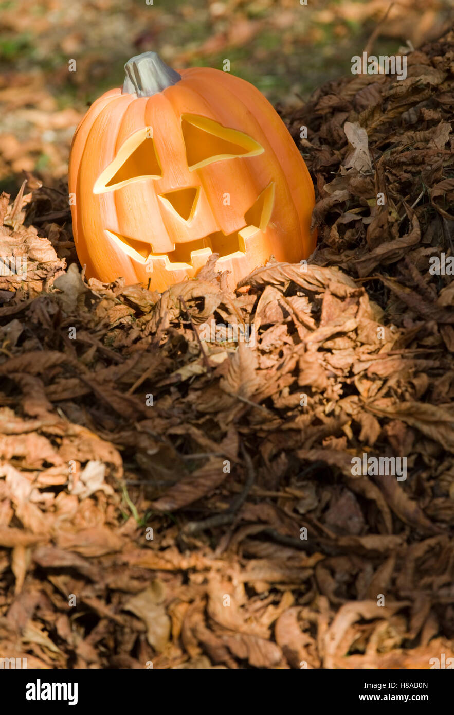 Creepy halloween photos hi-res stock photography and images - Alamy