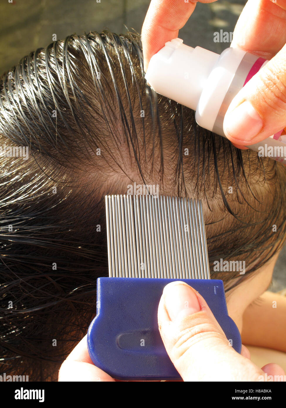 Removal of lice from a child's hair with a lice comb Stock Photo
