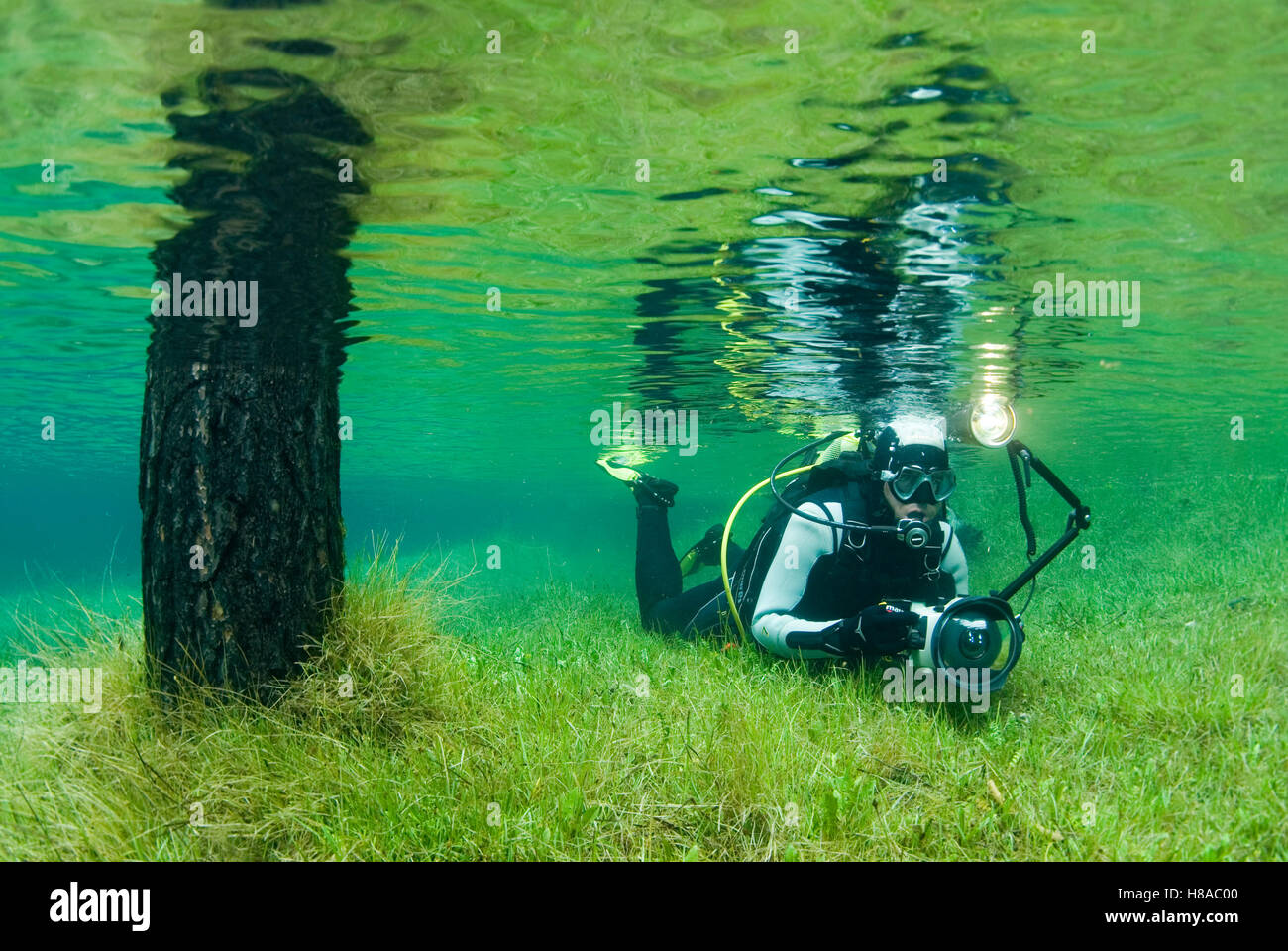 Diving in the Gruener See green lake in Tragoess, Steiermark, Oesterreich Stock Photo