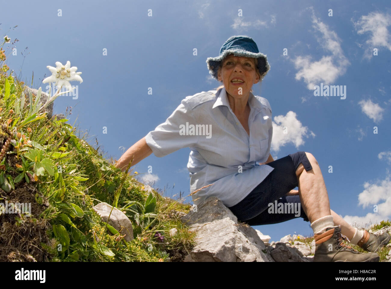 Woman with an edelweiss in Styria, Austria, Europe Stock Photo
