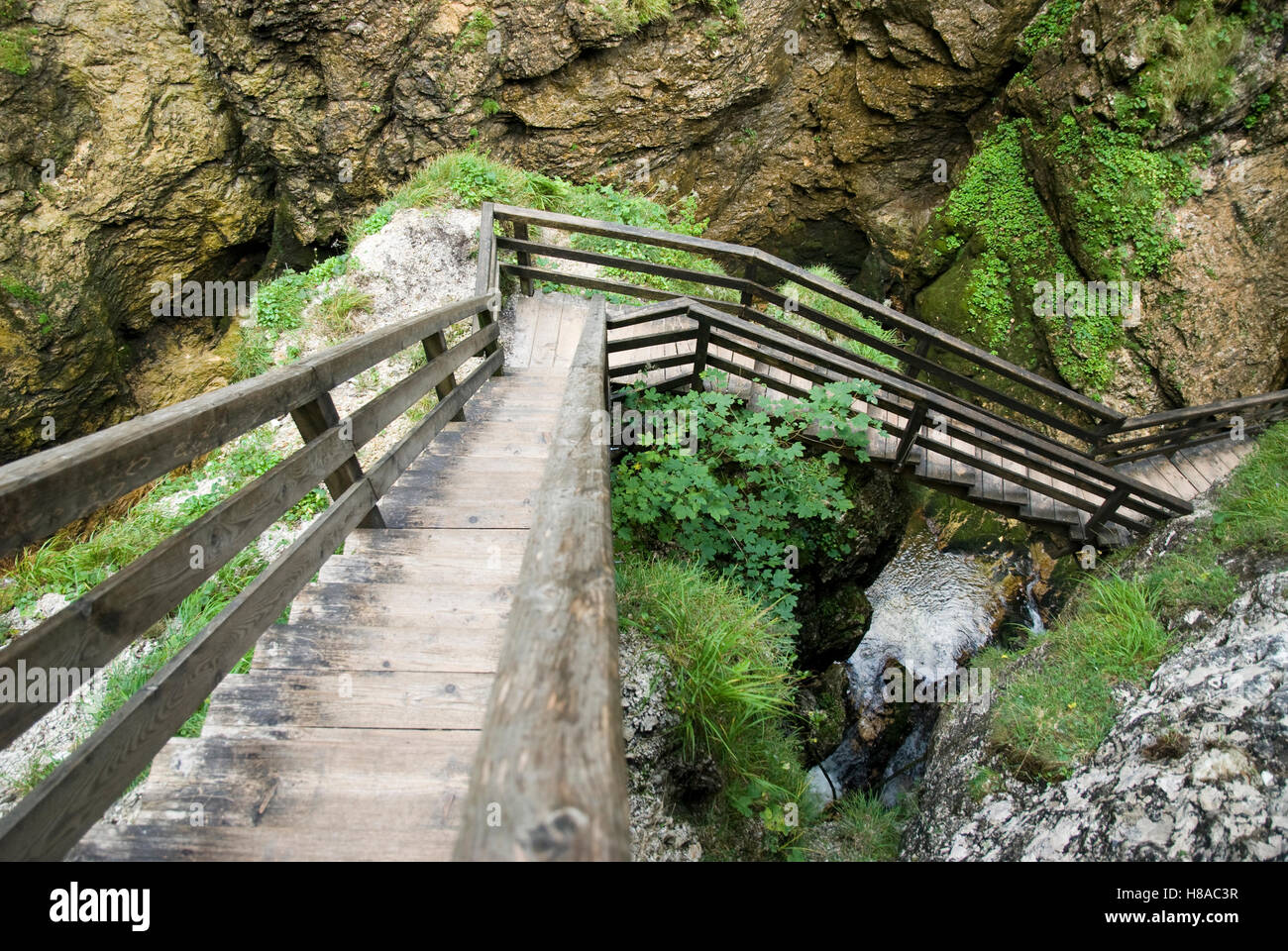 Wooden paths in the Wassermannslochklamm gorge in Palfau, Nationalpark Gesaeuse national park, Styria, Austria, Europe Stock Photo