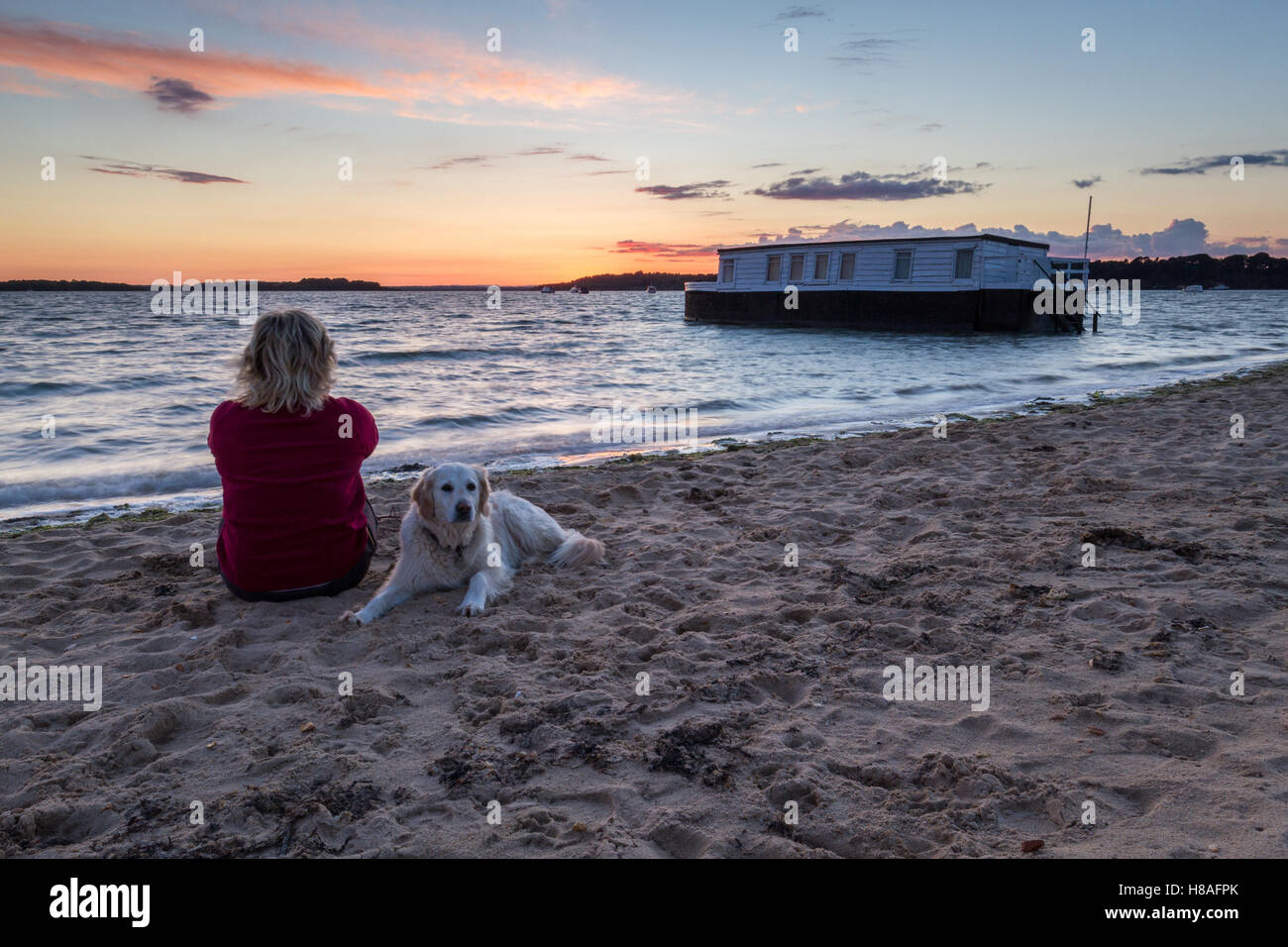 retriever dog and woman sitting on beach watching the sun set with a ...