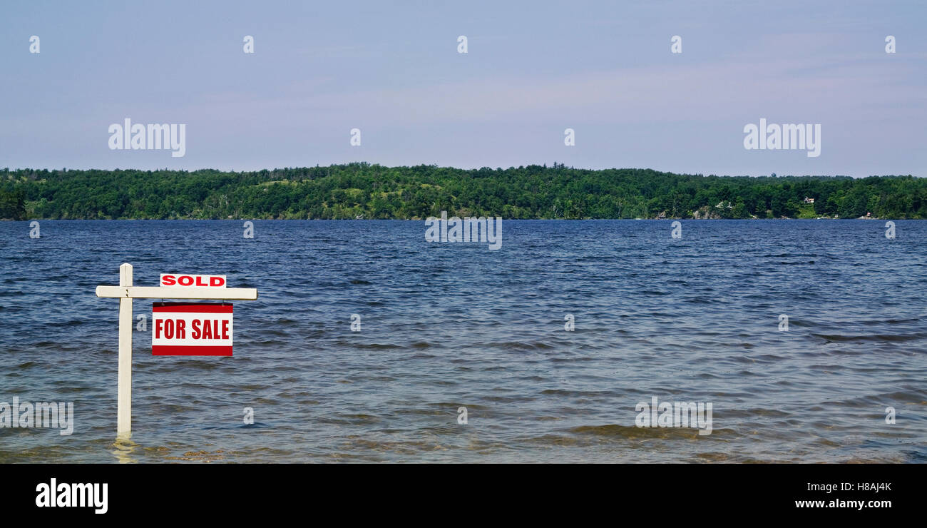 Swamp land for sale Stock Photo Alamy
