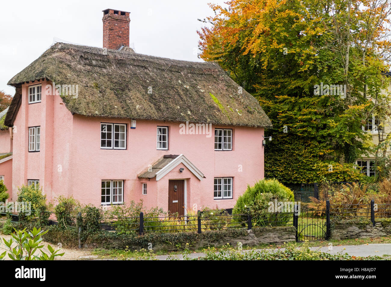 Thatched cottage in the Exmoor village Winsford, Exmoor National Park