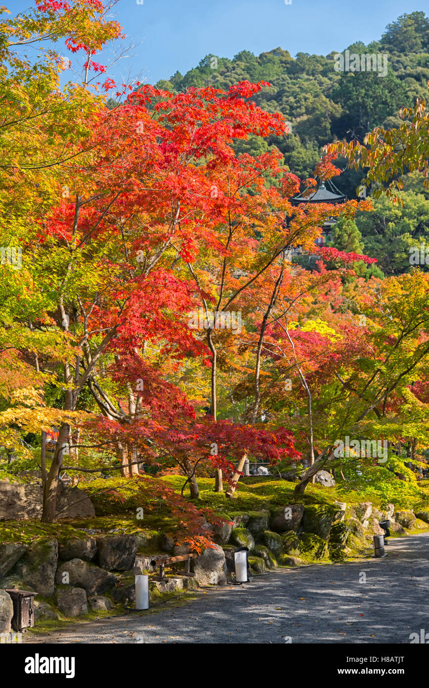Eikando Temple in Kyoto, Japan Stock Photo