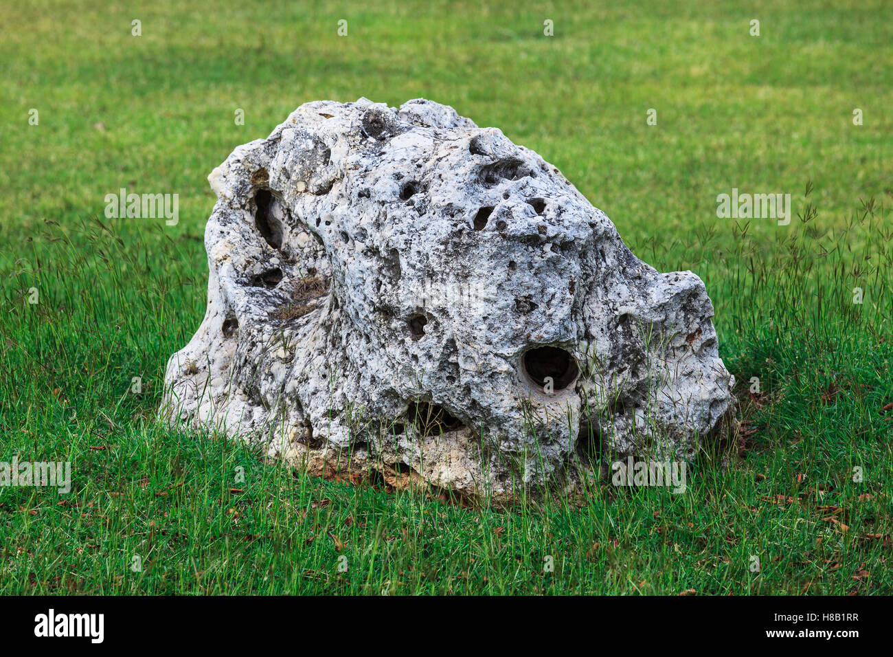 White limestone stone hi-res stock photography and images - Alamy