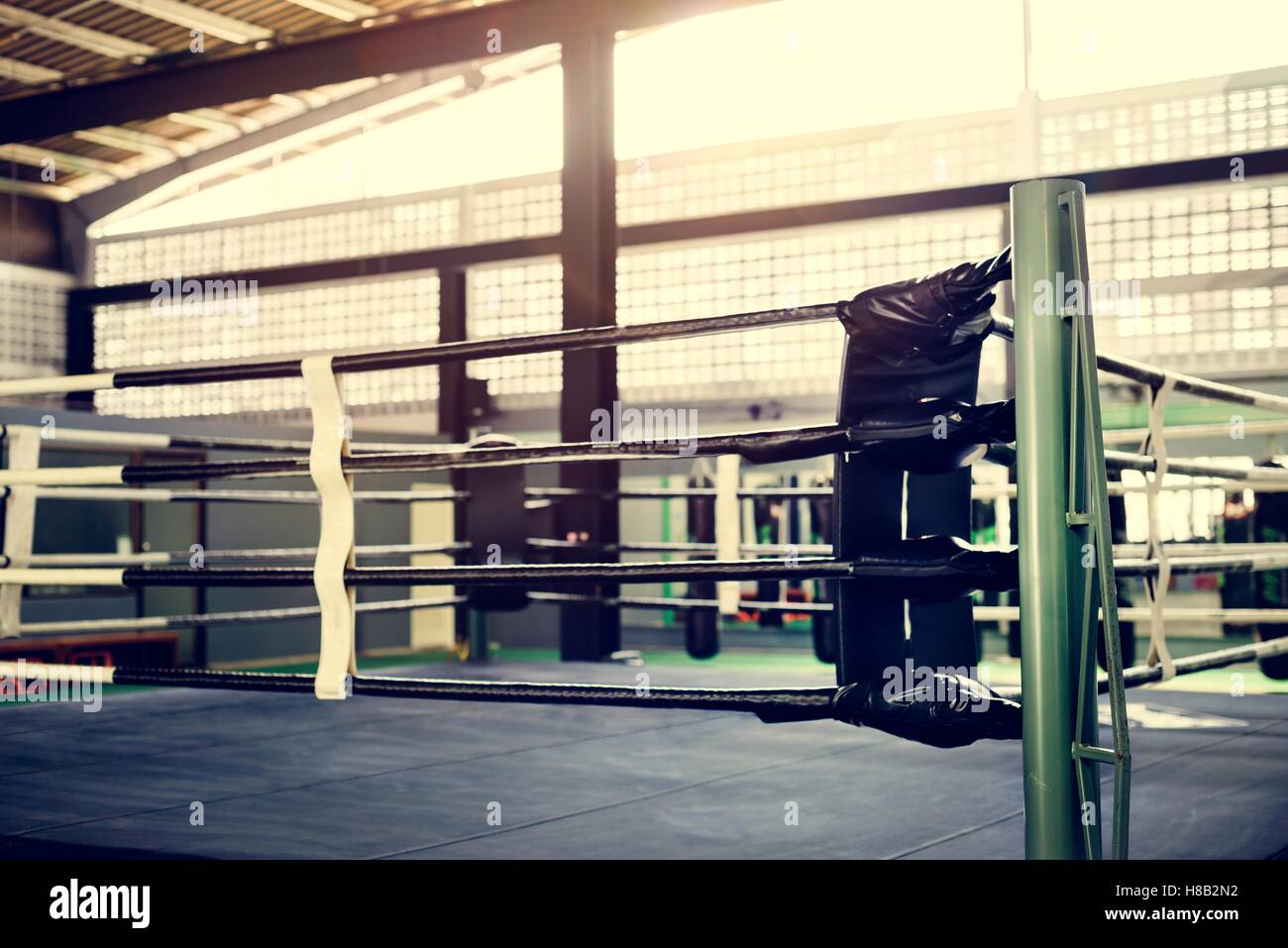 Boxing RIng Arena Stadium Fighting Competitive Sport Concept Stock Photo