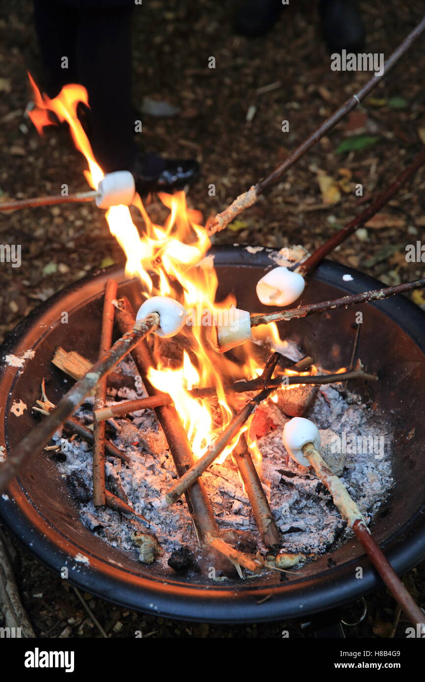 Toasting marshmallows on Guy Fawkes or Bonfire Night, on November 5th, in London, England, UK Stock Photo