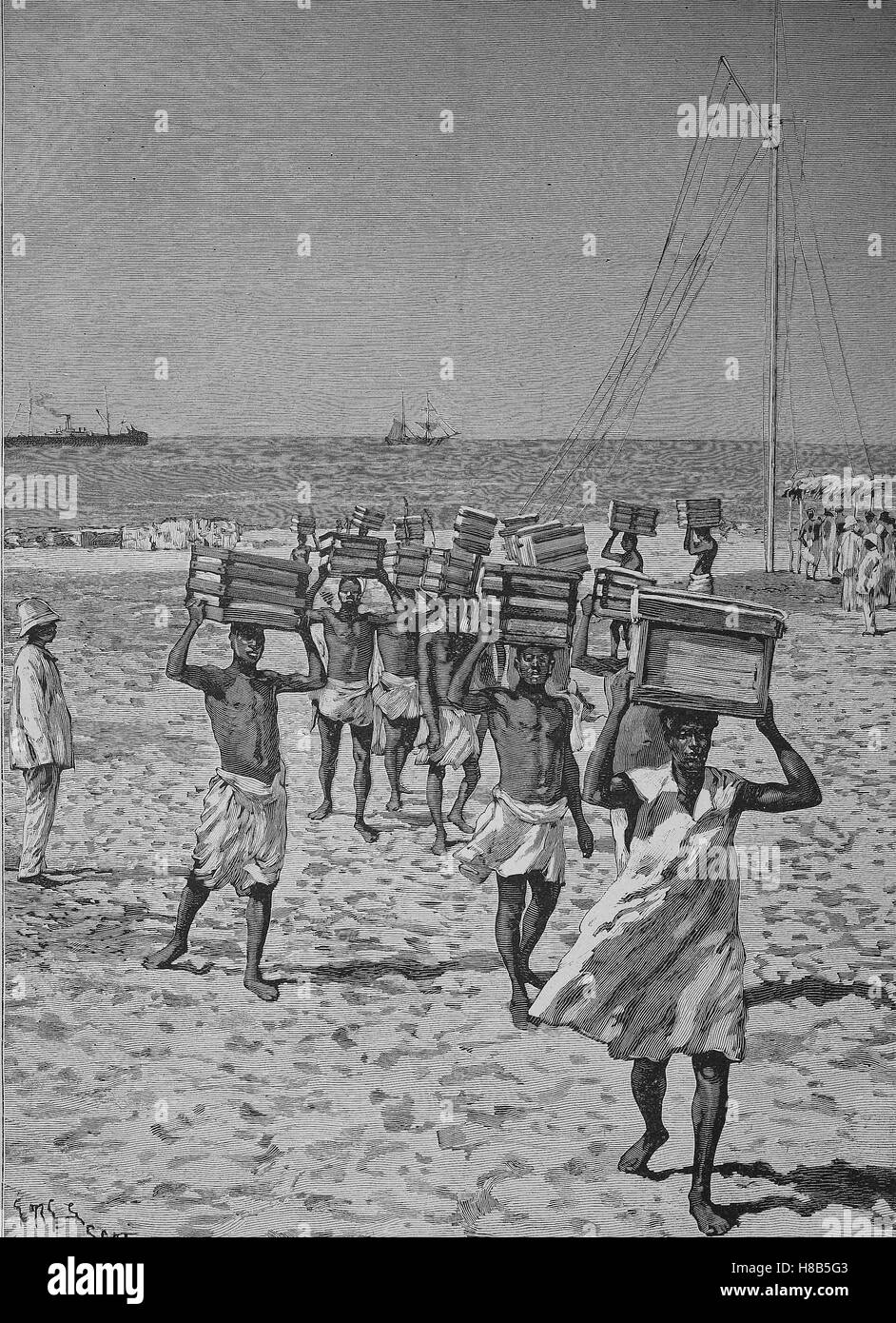 Dahomey, today Benin: discharge of a ship on the beach, Woodcut from 1892 Stock Photo