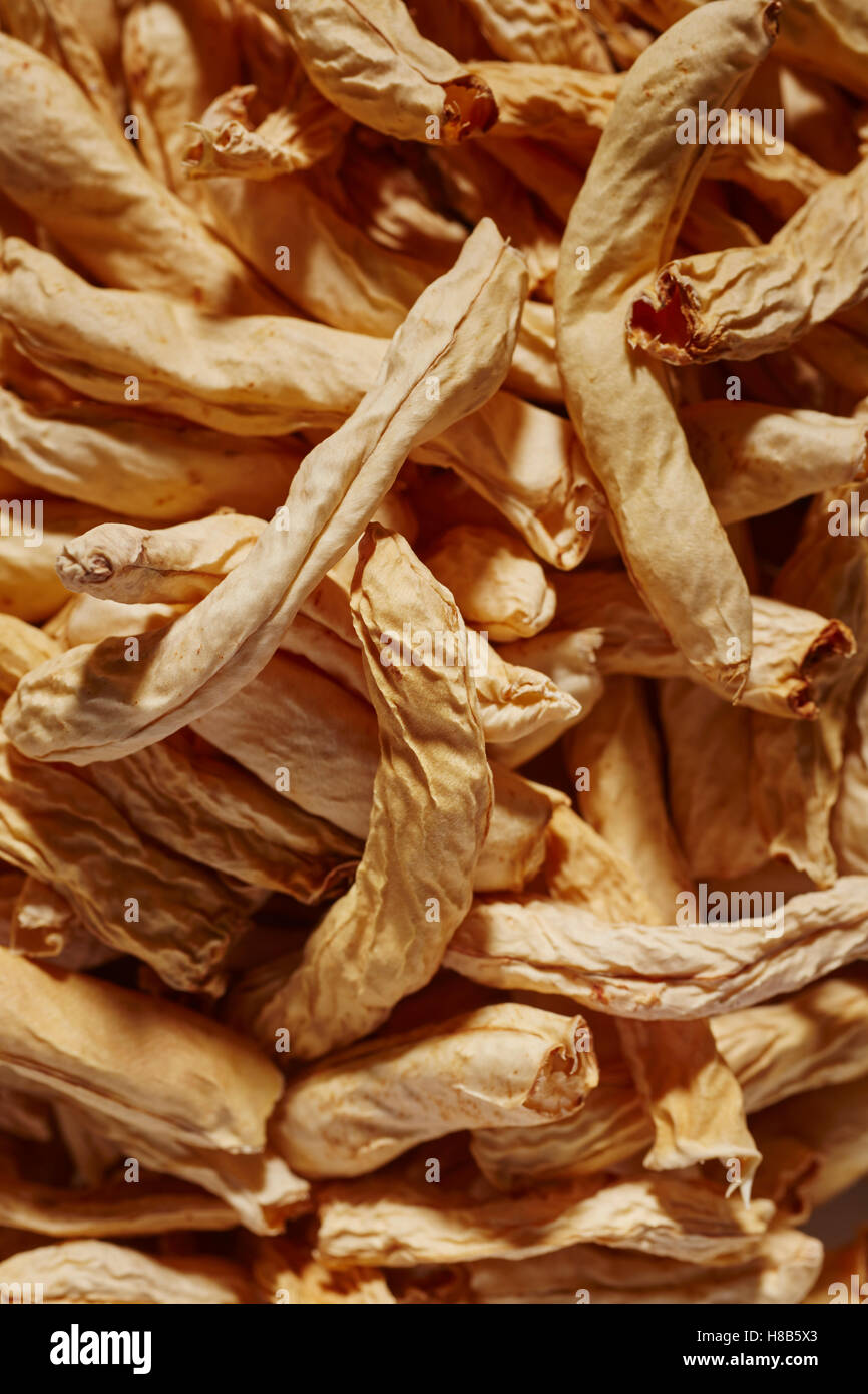 Dried Shuck Beans, a specialty of Kentucky, USA Stock Photo Alamy