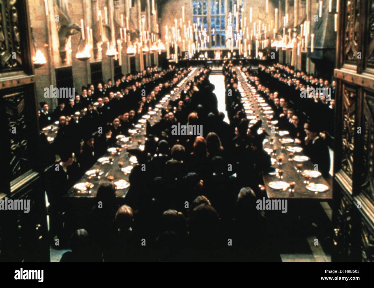 Harry Potter und der Stein der