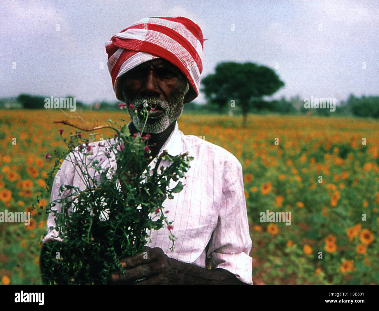 Ayurveda, (AYURVEDA) IND 2001, Regie: Nalin Pan, Stichwort: Inder, Turban Stock Photo