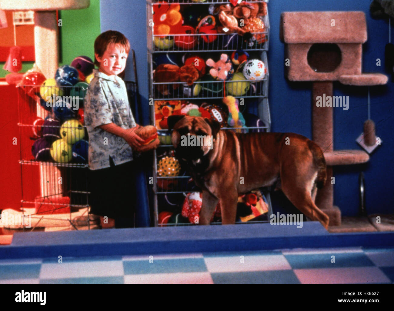 Spot, (SEE SPOT RUN) USA 2001, Regie: John Whitesell, ANGUS T. JONES, Stichwort: Hund Stock Photo