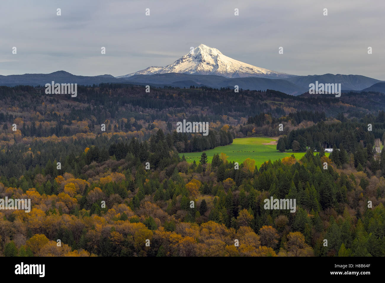 Mount Hood over Barlow Trail Route from Jonsrud Viewpoint in Sandy Oregon Stock Photo