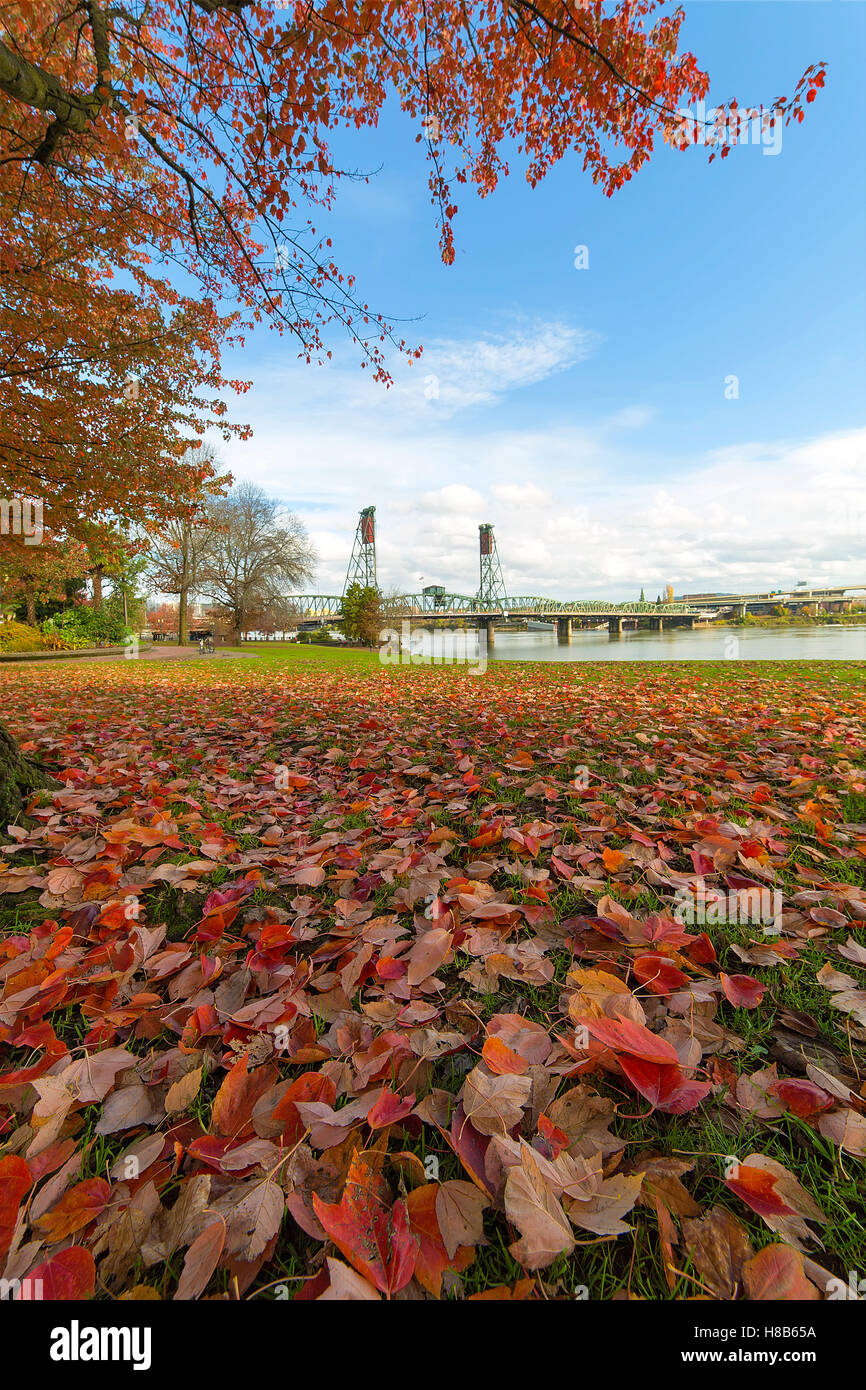 Portland Oregon city downtown waterfront park with maple tree foliage by Hawthorne Bridge in fall season Stock Photo