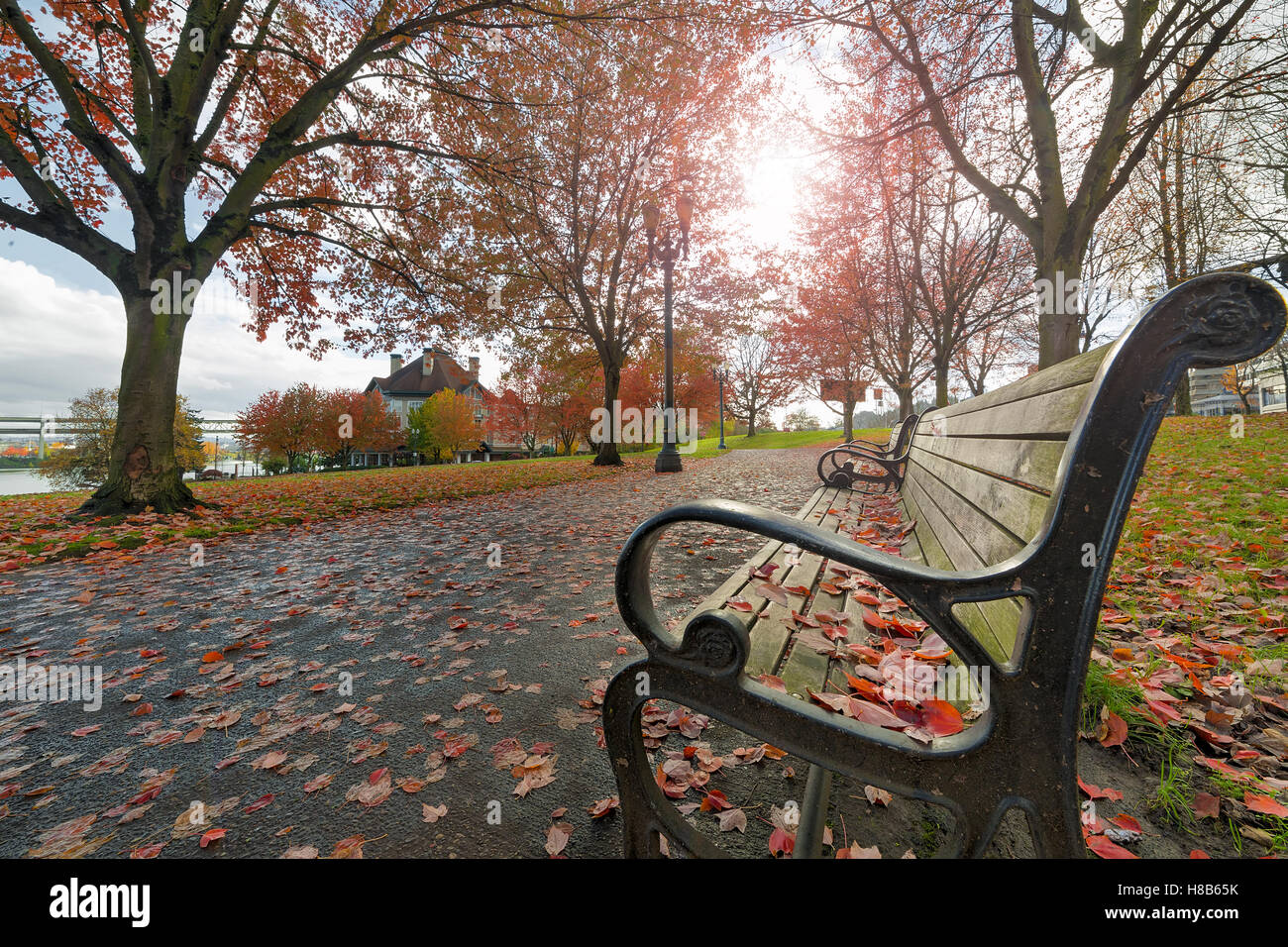 Park Benches in Waterfront Park in downtown Portland Oregon during fall season Stock Photo