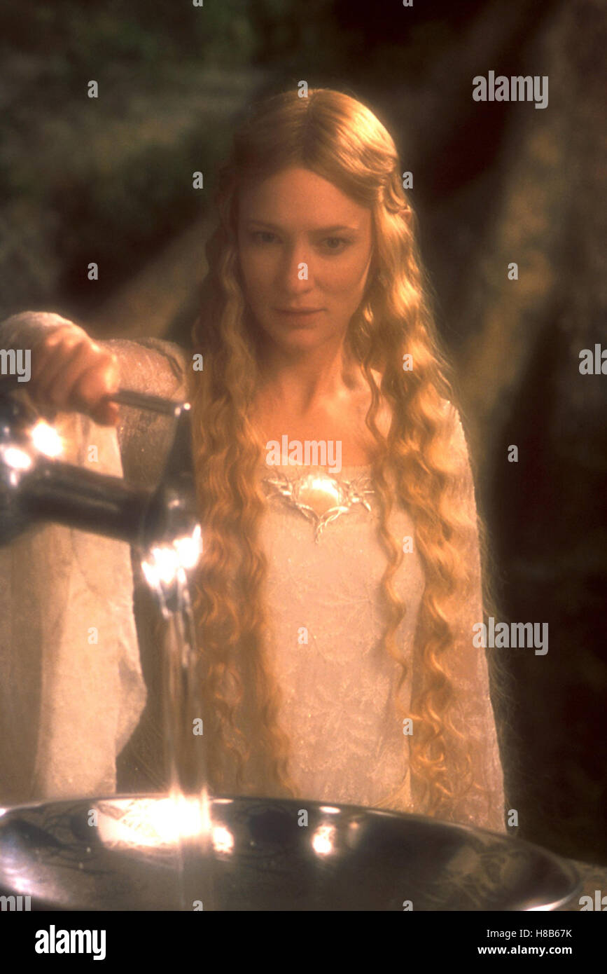 Der Herr der Ringe Die Gefährten, (THE LORD OF THE RINGS THE FELLOWSHIP OF THE RING) NZUSA Der Herr der Ringe Die Gefährten, (THE LORD OF THE RINGS THE FELLOWSHIP OF THE RING) NZUSA