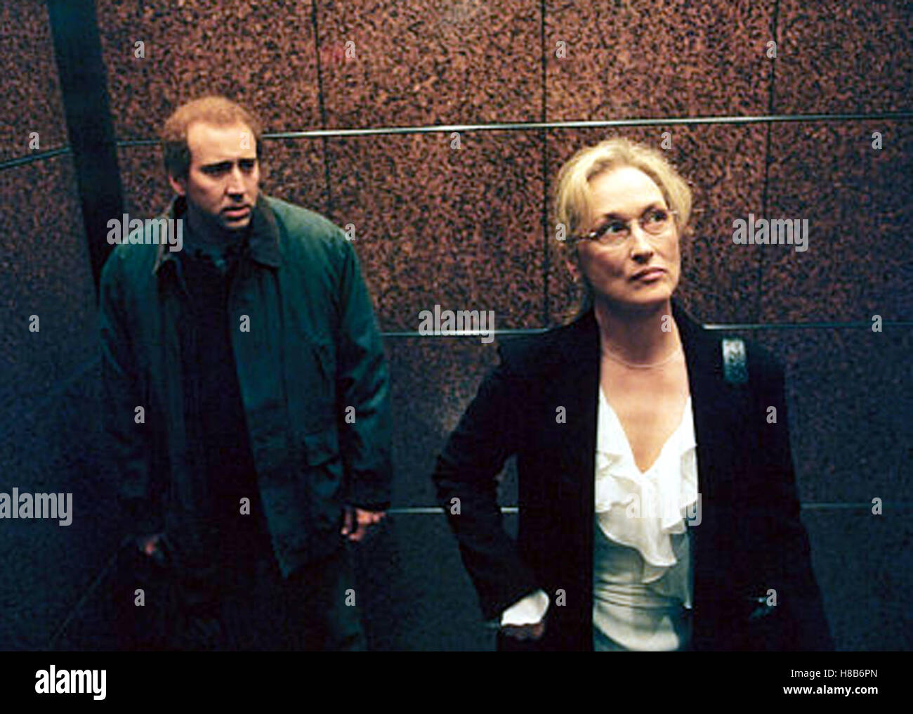 Adaption, (ADAPTATION) USA 2002, Regie: Spike Jonze, NICOLAS CAGE, MERYL STREEP Stock Photo