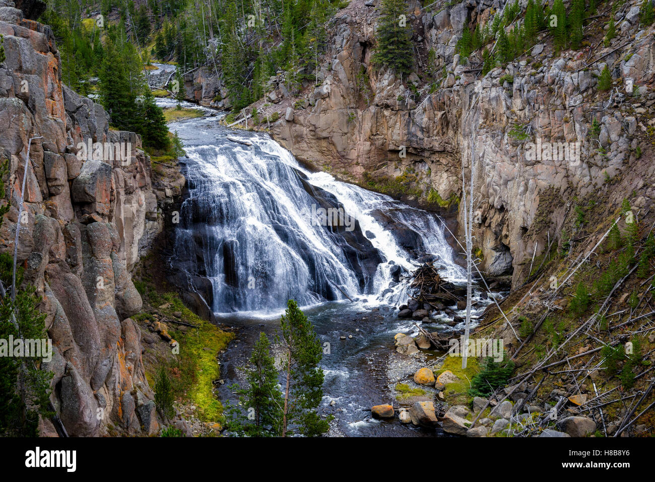 Gibbon Falls in Yellowstone National Park Stock Photo