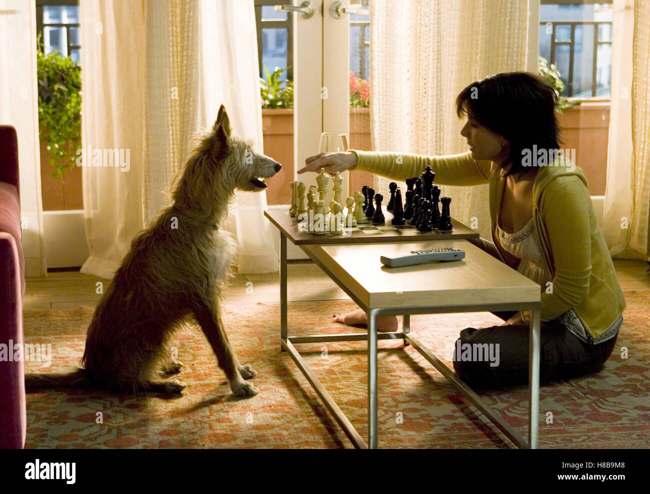Das Haus am See, (THE LAKE HOUSE) USA 2006, Regie: Alejandro Agresti, SANDRA BULLOCK, Key: Tier, Hund,  Verleih: Warner Bros. Stock Photo