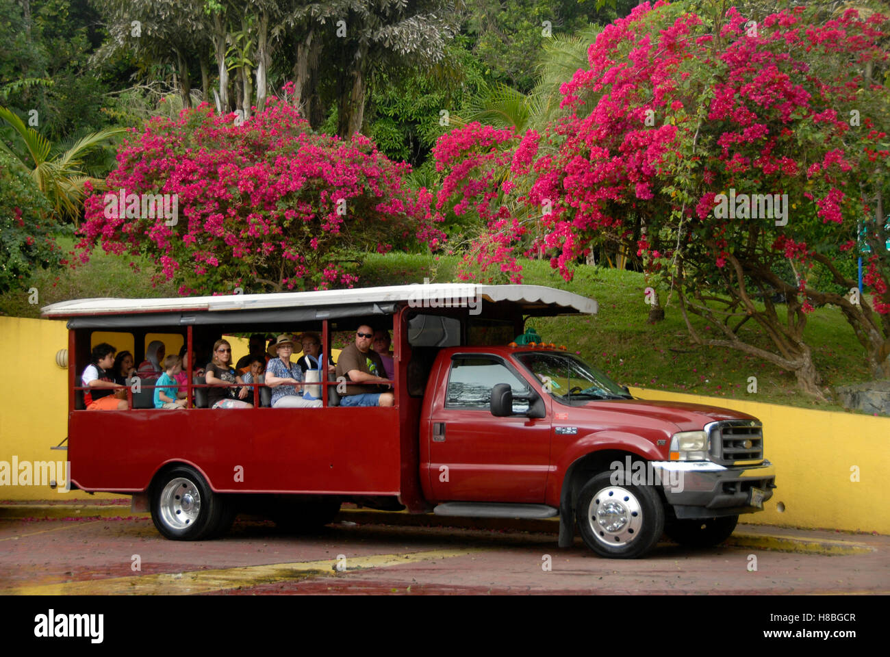 Cox Cabs St Thomas Taxi