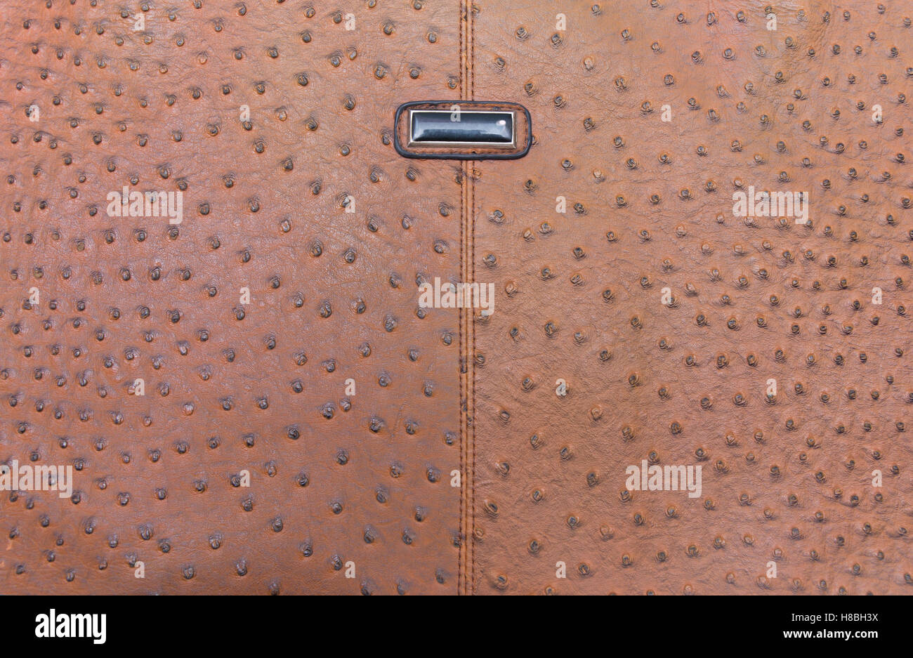 Ostrich Leather Skin Stock Photo - Download Image Now - Animal, Animal Body  Part, Animal Markings - iStock