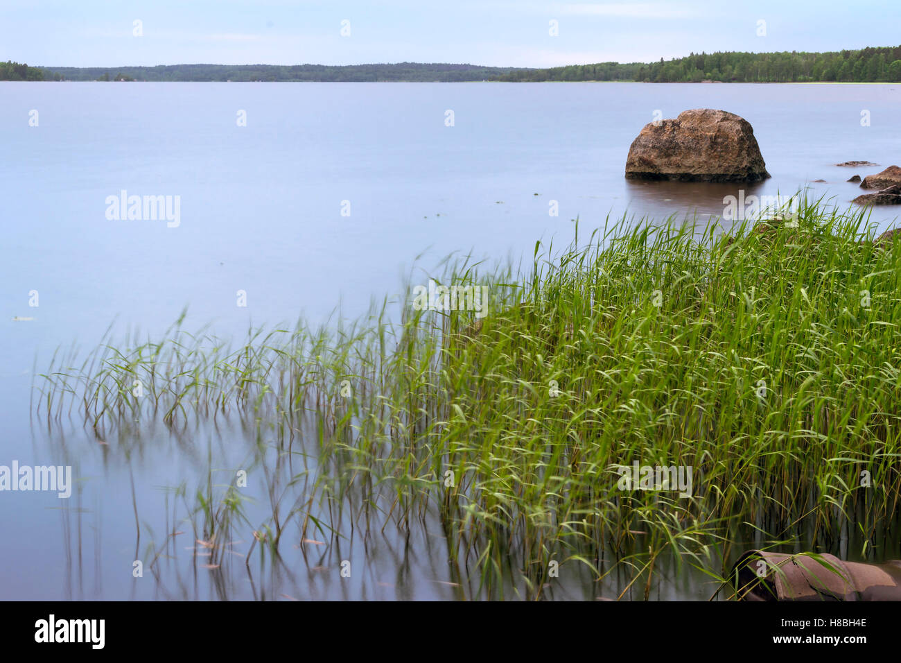 Stones on beach and huge rocks in calm water of Gulf of Vyborg. Evening calm in sea Bay, Leningrad, Saint-Petersburg, Russia Stock Photo