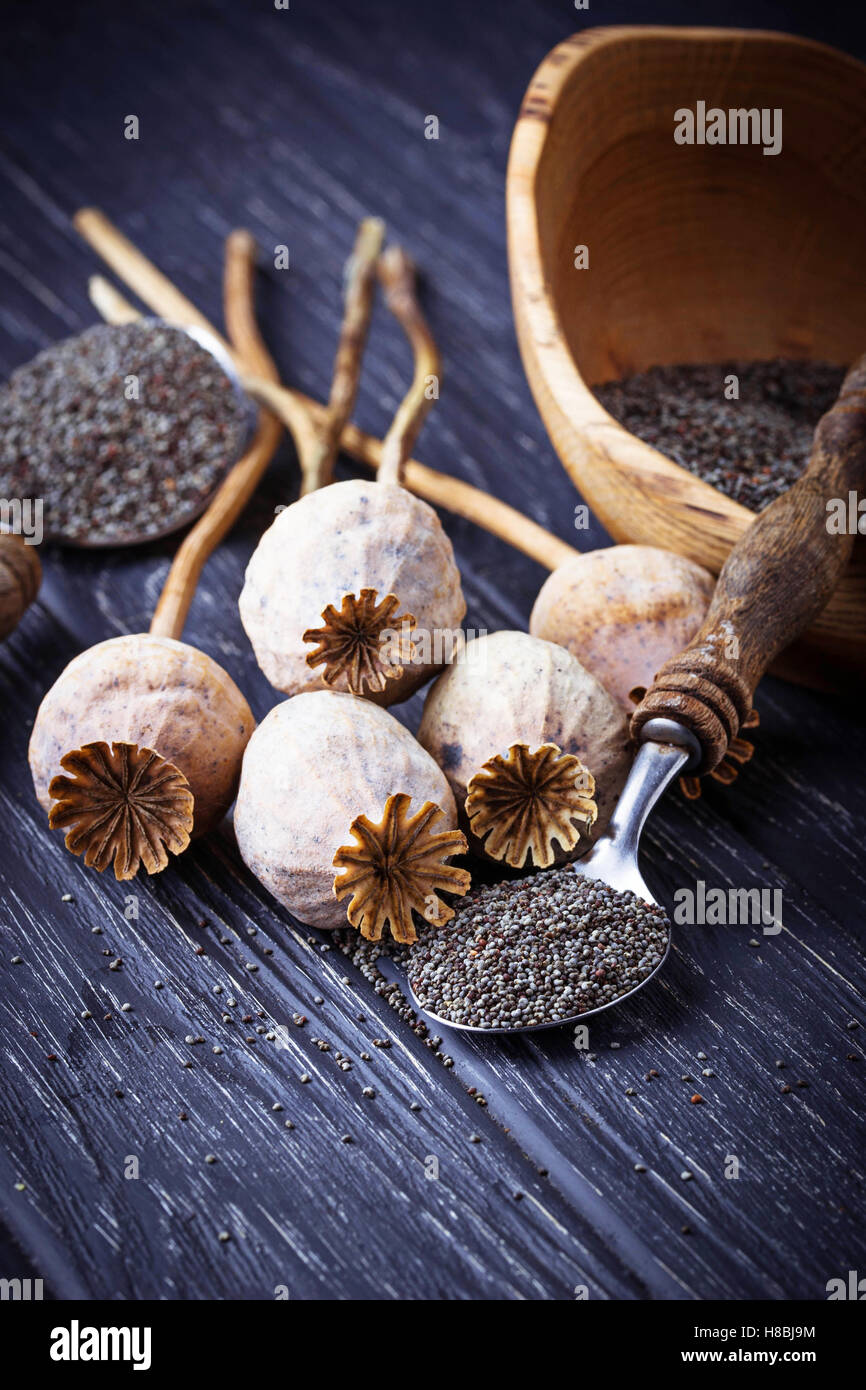 Poppy seeds and heads on wooden background. Selective focus Stock Photo
